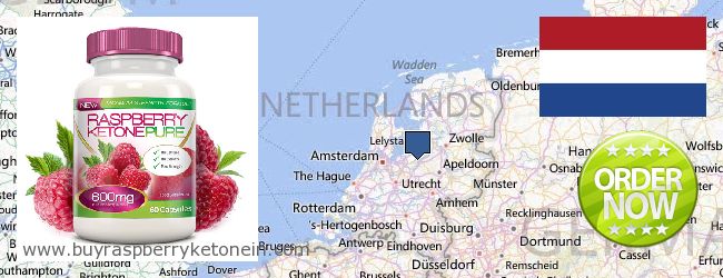 Dónde comprar Raspberry Ketone en linea Netherlands